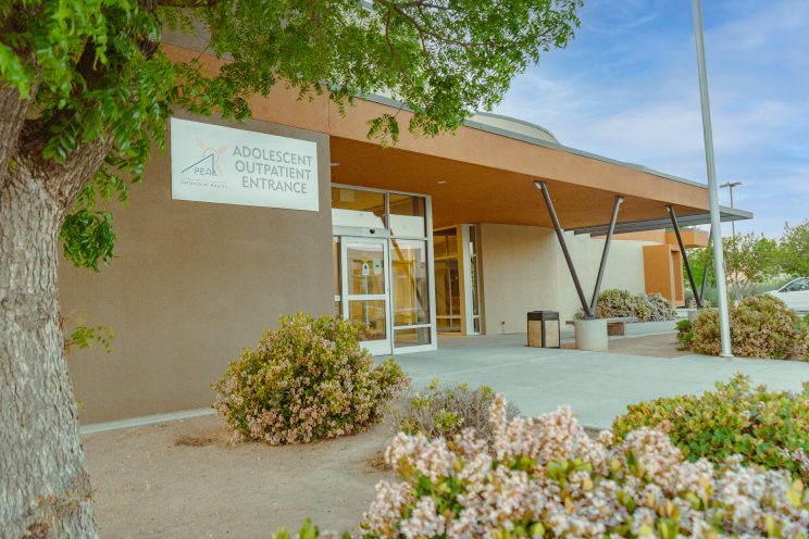 Psychiatric Hospital in New Mexico,